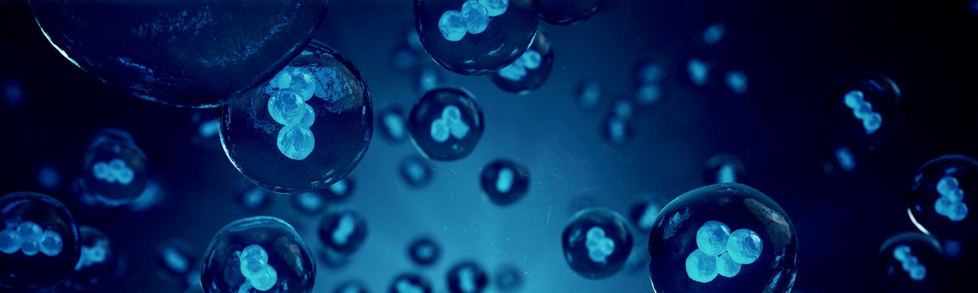 Illustration 3D de cellules humaines ou animales sur fond bleu